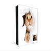 Concept Crystal 50 Keys Cabinet with Decorative Front Panel and Glass White Board K02 Cat in Paper view 4