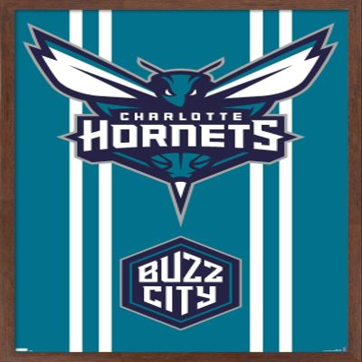 Trends International NBA Charlotte Hornets - Logo 20 Wall Poster, 34L x 22.4W, Mahogany Framed Version