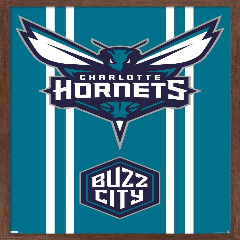 Trends International NBA Charlotte Hornets - Logo 20 Wall Poster, 34L x 22.4W, Mahogany Framed Version