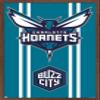 Trends International NBA Charlotte Hornets - Logo 20 Wall Poster, 34L x 22.4W, Mahogany Framed Version view 1