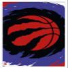 Trends International NBA Toronto Raptors - Logo 20 Wall Poster, 22.4L x 14.7W, White Framed Version view 1