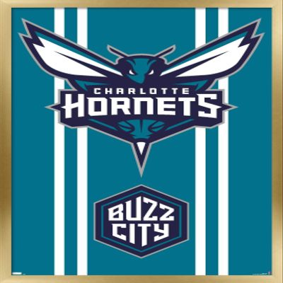 Trends International NBA Charlotte Hornets - Logo 20 Wall Poster, 22.4L x 14.7W, Gold Framed Version
