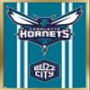 Trends International NBA Charlotte Hornets - Logo 20 Wall Poster, 22.4L x 14.7W, Gold Framed Version view 1