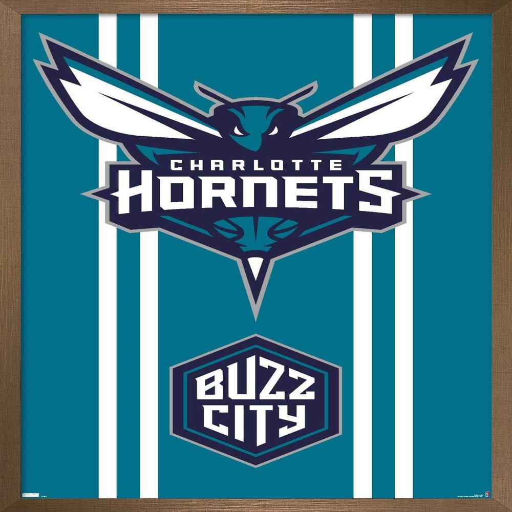 Trends International NBA Charlotte Hornets - Logo 20 Wall Poster, 22.4L x 14.7W, Bronze Framed Version