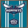 Trends International NBA Charlotte Hornets - Logo 20 Wall Poster, 22.4L x 14.7W, Bronze Framed Version view 1