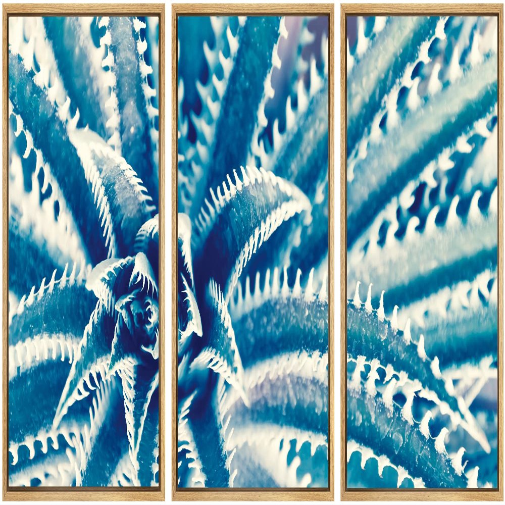 SIGNWIN Framed Canvas Wall Art Sharp Pointed Agave Plant Leaves Botanical Succulent Photography Minimalism Contemporary Closeup Dramatic for Living Room, Bedroom, Office - 16"x24"x3 Natural