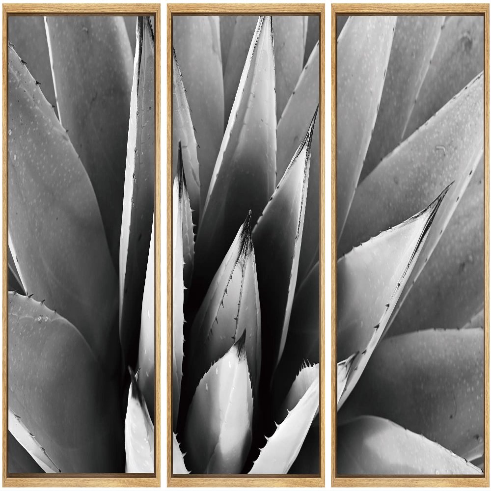 SIGNWIN Framed Canvas Wall Art Agave Plant Petal Botanical Succulent Photography Minimalism Contemporary Closeup Dramatic Black and White for Living Room, Bedroom, Office - 16"x24"x3 Natural