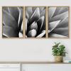 SIGNWIN Framed Canvas Wall Art Agave Plant Petal Botanical Succulent Photography Minimalism Contemporary Closeup Dramatic Black and White for Living Room, Bedroom, Office - 16"x24"x3 Natural view 3
