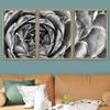 SIGNWIN Framed Canvas Wall Art Houseleek Petal Pattern Botanical Succulent Photography Minimalism Contemporary Closeup Dramatic Black and White for Living Room, Bedroom, Office - 16"x24"x3 Natural view 2