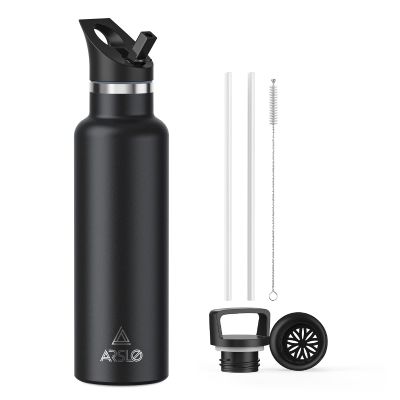 Arslo Stainless Steel Double Wall Water Bottles 25 Ounce, Vacuum Insulated Bottle With Straw Lid, Insulated Water Bottle Keeps Water Cold for 24 Hours, Hot for 12 Hours, Hiking, Sports