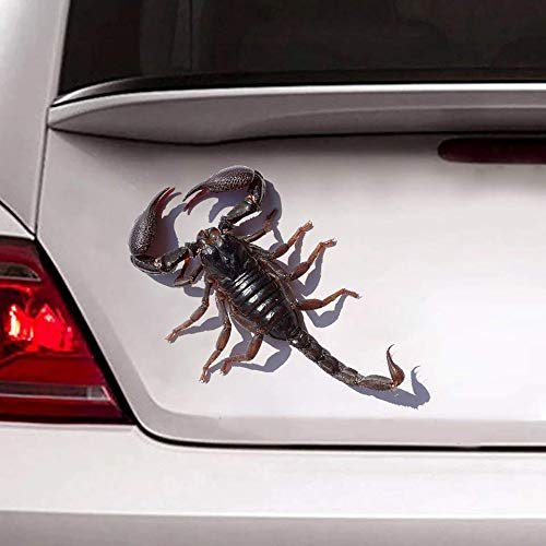 Ocean Gift Scorpions Car Decals, Wall Decals Stickers Pack of 2 - Realistic Car Stickers Design Series 6 Size 10" x 10"