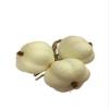 ( 3 brunches ) Artificial Garlic Fake Vegetable for Display view 1