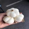 ( 3 brunches ) Artificial Garlic Fake Vegetable for Display view 3
