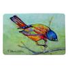 Betsy Drake Painted Bunting Door Mat 18x26 view 1