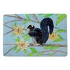 Betsy Drake Fox Squirrel Door Mat 18x26 view 1