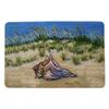 Betsy Drake Conch Found Door Mat 18x26 view 1