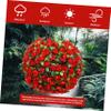 Solar Lantern Outdoor Garden Hanging Solar Light Balls Decorative Easy to Move view 2