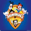 Trends International Animaniacs - Shield Wall Poster, 14.725" x 22.375", Premium Unframed Version view 1