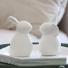 Abaodam 2Pcs Ceramic Bunny Rabbit Figurine Decorations Easter Rabbit Figurines Statue Home Layout Decor Desktop Decor view 4