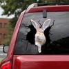 Ocean Gift Continental Giant Rabbit Car Decals, Wall Decals Stickers Pack of 2 - Realistic Car Stickers Design Series 13 Size 10" x 10" view 1