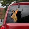 Ocean Gift Continental Giant Rabbit Car Decals, Wall Decals Stickers Pack of 2 - Realistic Car Stickers Design Series 13 Size 10" x 10" view 1