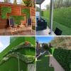 QIAOH Artificial Boxwood Panel 2PCS, Artificial Hedges Panels for Both Outdoor or Indoor, Garden, Fencing, Backyard and Home UV Resistant Decor Home, Wedding, Plaque Decoration view 2