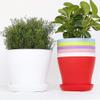 Cabilock 25pcs Plant Saucer Drip Trays Plastic Plant Pot Saucers Flower Pot Set for Indoor Outdoor Garden view 2