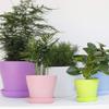 Cabilock 25pcs Plant Saucer Drip Trays Plastic Plant Pot Saucers Flower Pot Set for Indoor Outdoor Garden view 3