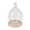 Amosfun Glass Cover Glass Dome Dome Transparent Cover view 1