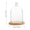 Amosfun Glass Cover Glass Dome Dome Transparent Cover view 2