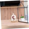 Amosfun Glass Cover Glass Dome Dome Transparent Cover view 4