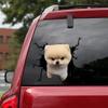 Ocean Gift Pomeranian Car Decals, Wall Decals Stickers Pack of 2 - Realistic Car Stickers Design Series 37 Size 12" x 12" view 1