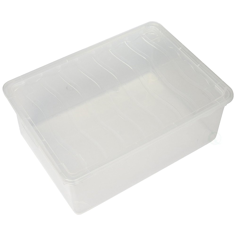 Basicwise Clear Plastic Shoe Boxes with Lids - Stackable Storage Bins for Shoes, Accessories, Closet Organization - Secure-Fit, See-Through, Shatterproof Containers - 14x10.5x5.5 in - Set of 6
