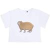 Azeeda Medium 'Capybara' Adult's Cotton Crop Top (CO00063943) White view 1