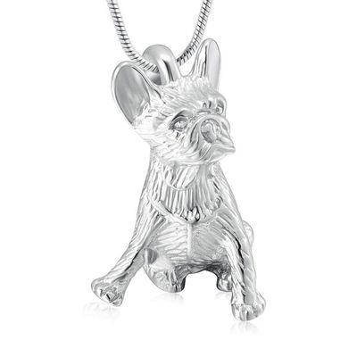 QJZM Urn NecklaceDog Urn Necklace for Ashes Pendant Keepsake Pet Jewelry for Urns Holder Dogs Cats Ashes Memorial Cremation Jewelry-Silver_Pendant Only