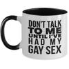 B.A.I. Don't Talk To Me Until I've Had My Gay Sex Coffee Mug, Morning Naughty Adult Cup For Lesbian, LGBT, Funny Birthday, Christmas, Valentine's Gifts view 1
