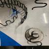 Galaxy Supply Inc. Zig Zag- Springs 8 Gauge 31" x 4 pcs,Plus Special Package 10 pcs 7 Holes Clip +20 pcs Stay Wire Clips + 10 feet of Springing Wire for All Upholstery Use view 3