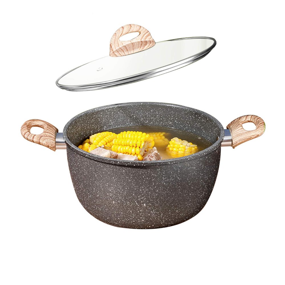 AIZYR Nonstick Induction Soup Pot with Soft Touch Handle and Glass Lid, Rapid Noodle Cooker for Soup, Curry, Pasta, Stew & More