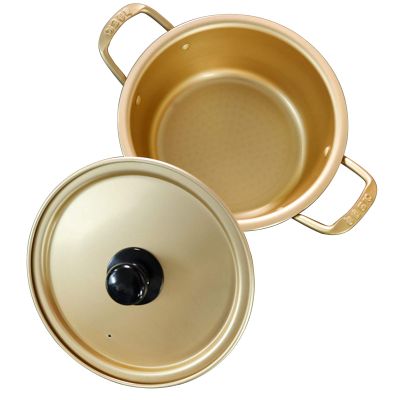 AIZYR Korean Noodle Ramen Pot - Small Stockpots Pasta Pots Instant Noodles Pot with Lid for Home and Outdoor