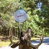 Moultrie 550 Lb Big Game Scale - All-Steel Frame, Large Easy-Read Dial, Two S-Hooks Included, MFA-15007 view 2