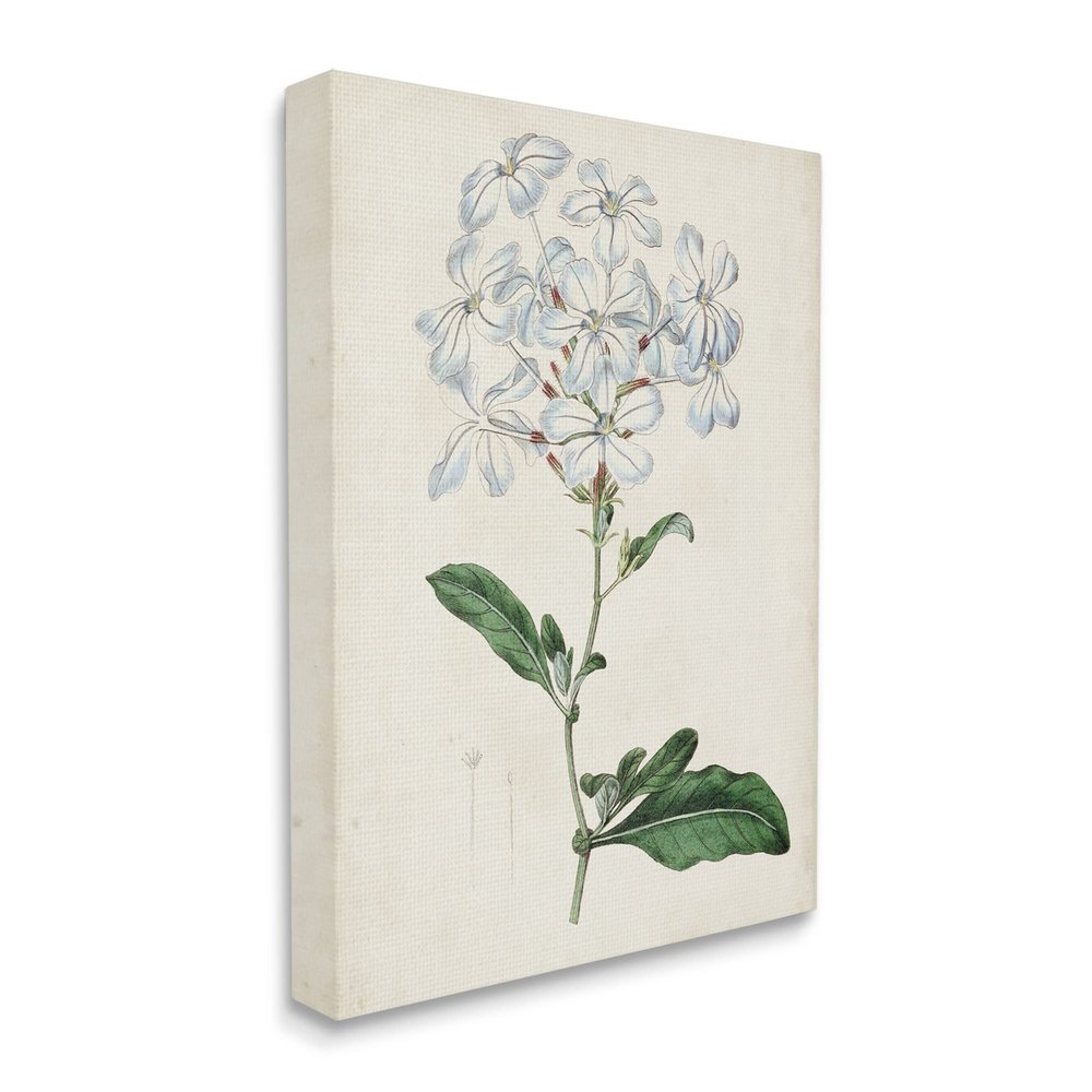 Stupell Industries Rustic Garden Floral Study Charming White Blossoms