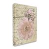 Stupell Industries Soft Pink Florals on Vintage Postal Letter view 1