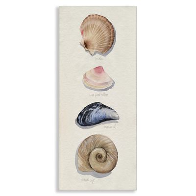 Stupell Industries Nautical Sea Shells Over Soft Beige Sand, Designed by Grace Popp Canvas Wall Art, 13 x 30, Blue