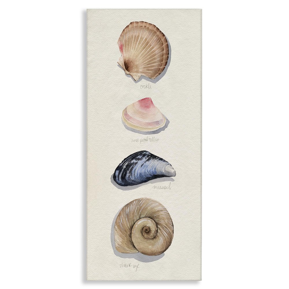 Stupell Industries Nautical Sea Shells Over Soft Beige Sand, Designed by Grace Popp Canvas Wall Art, 13 x 30, Blue