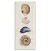 Stupell Industries Nautical Sea Shells Over Soft Beige Sand, Designed by Grace Popp Canvas Wall Art, 13 x 30, Blue view 1