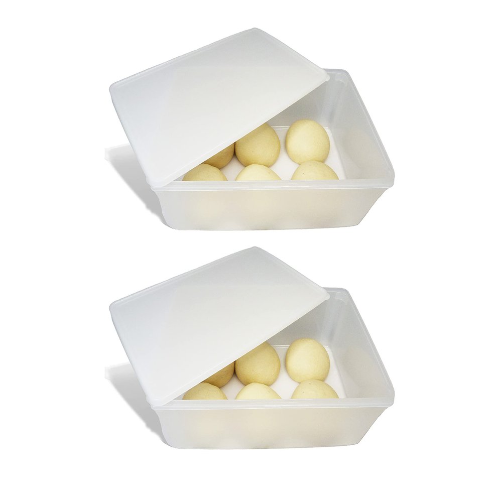 2.4 gal Produce Saver Containers for Refrigerator, Pizza Dough Proofing Box, Vegetable Storage Containers for Refrigerator, Pizza Storage Container, Marinating Container, Pizza Dough Box, Veggie Saver