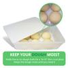 2.4 gal Produce Saver Containers for Refrigerator, Pizza Dough Proofing Box, Vegetable Storage Containers for Refrigerator, Pizza Storage Container, Marinating Container, Pizza Dough Box, Veggie Saver view 3
