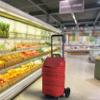 GIMI Weight Carrier, Capacity 30 kg, Alloy Steel Polyester, red, 40 L view 4