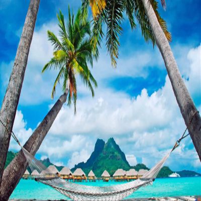 Iconic Arts Laminated 24x36 Poster: Beach Swing Between Palm Trees with Landscape of hut in Body of Water hd Beach HD