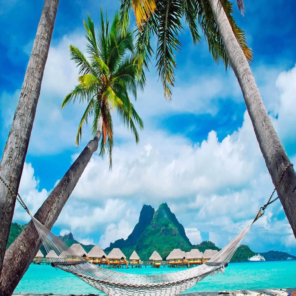 Iconic Arts Laminated 24x36 Poster: Beach Swing Between Palm Trees with Landscape of hut in Body of Water hd Beach HD